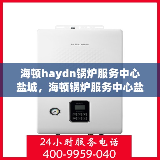 海顿haydn锅炉服务中心盐城，海顿锅炉服务中心盐城，专业维修与高效服务