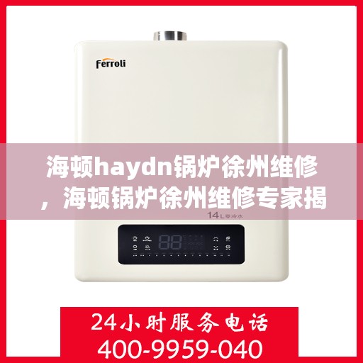 海顿haydn锅炉徐州维修，海顿锅炉徐州维修专家揭秘，专业维修，高效保障