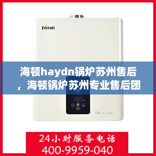 海顿haydn锅炉苏州售后，海顿锅炉苏州专业售后团队，高效维修与贴心服务