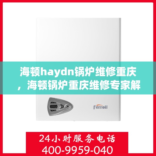 海顿haydn锅炉维修重庆，海顿锅炉重庆维修专家解析与实战指南