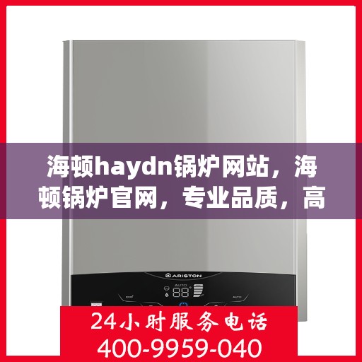 海顿haydn锅炉网站，海顿锅炉官网，专业品质，高效供暖的领先者