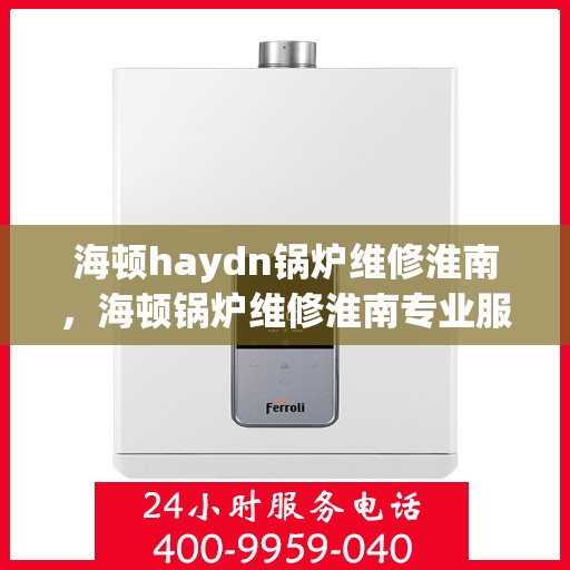 海顿haydn锅炉维修淮南，海顿锅炉维修淮南专业服务团队