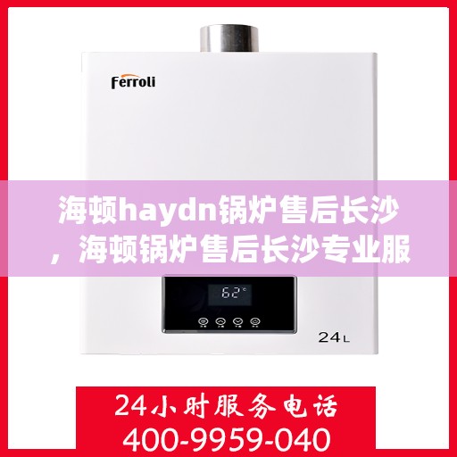 海顿haydn锅炉售后长沙，海顿锅炉售后长沙专业服务解析