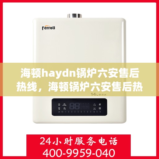 海顿haydn锅炉六安售后热线，海顿锅炉六安售后热线专业服务，您身边的维修保障专家
