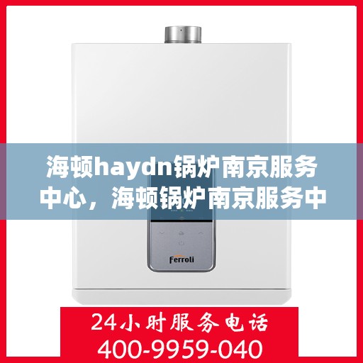 海顿haydn锅炉南京服务中心，海顿锅炉南京服务中心，专业维修与保养一站式解决方案