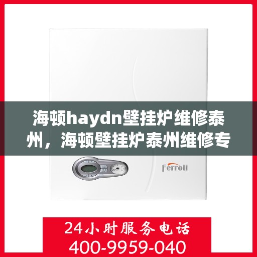 海顿haydn壁挂炉维修泰州，海顿壁挂炉泰州维修专家解析与指南