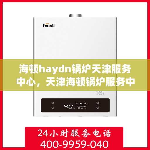 海顿haydn锅炉天津服务中心，天津海顿锅炉服务中心，专业维修与保养Haydn锅炉