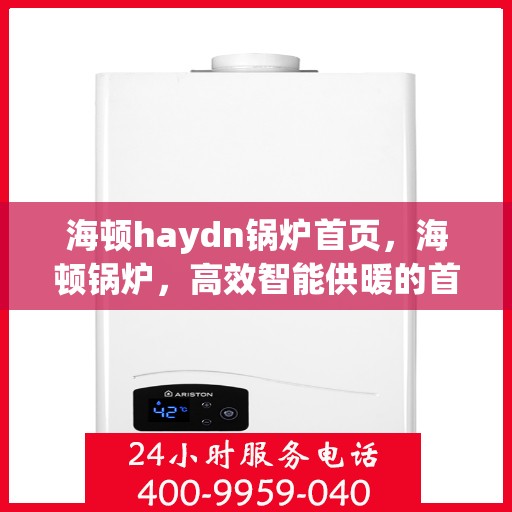 海顿haydn锅炉首页，海顿锅炉，高效智能供暖的首页体验