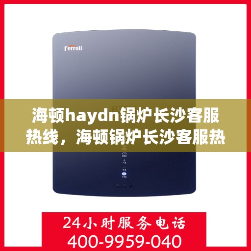 海顿haydn锅炉长沙客服热线，海顿锅炉长沙客服热线，专业支持与解决方案一站式服务