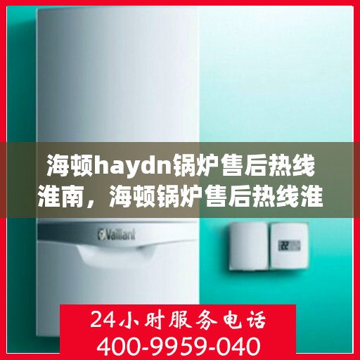 海顿haydn锅炉售后热线淮南，海顿锅炉售后热线淮南专业服务团队