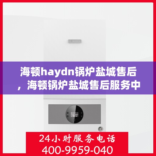 海顿haydn锅炉盐城售后，海顿锅炉盐城售后服务中心，专业维修与保养服务
