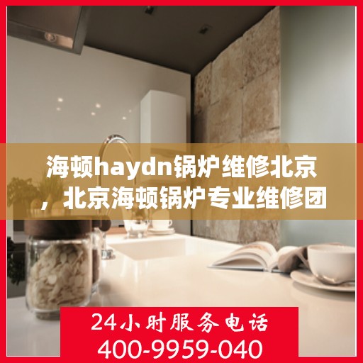 海顿haydn锅炉维修北京，北京海顿锅炉专业维修团队