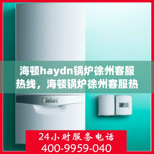 海顿haydn锅炉徐州客服热线，海顿锅炉徐州客服热线，专业支持与解决方案一站式服务