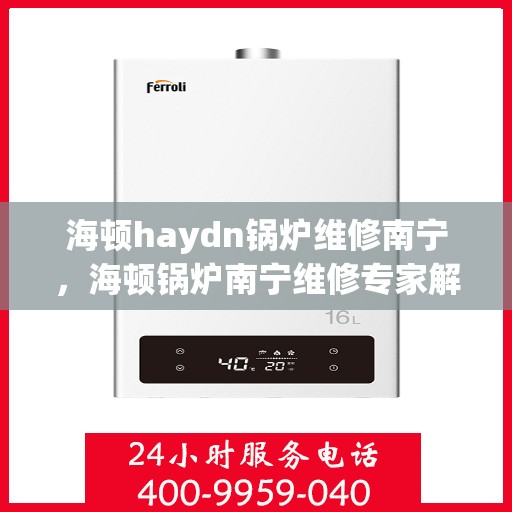 海顿haydn锅炉维修南宁，海顿锅炉南宁维修专家解析与实战指南