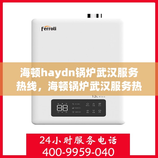 海顿haydn锅炉武汉服务热线，海顿锅炉武汉服务热线，专业维修与支持团队为您解答疑问