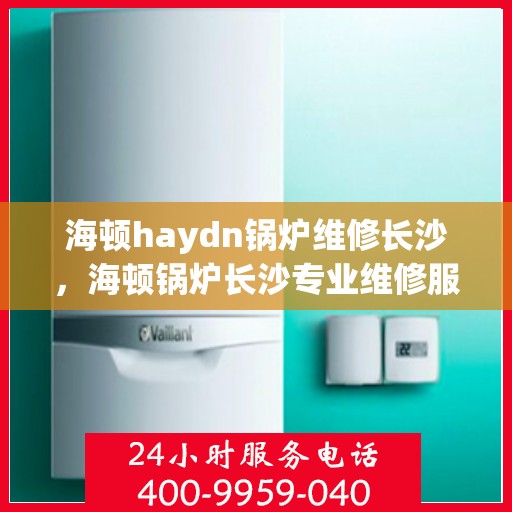 海顿haydn锅炉维修长沙，海顿锅炉长沙专业维修服务
