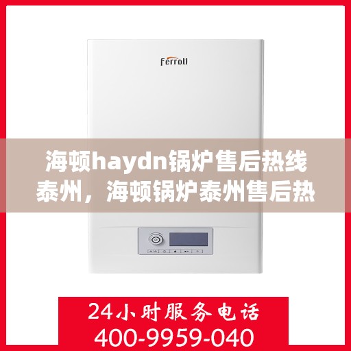 海顿haydn锅炉售后热线泰州，海顿锅炉泰州售后热线及维修服务支持