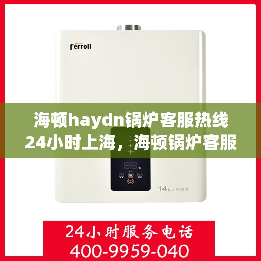 海顿haydn锅炉客服热线24小时上海，海顿锅炉客服热线全天候服务上海地区，贴心关怀无间断