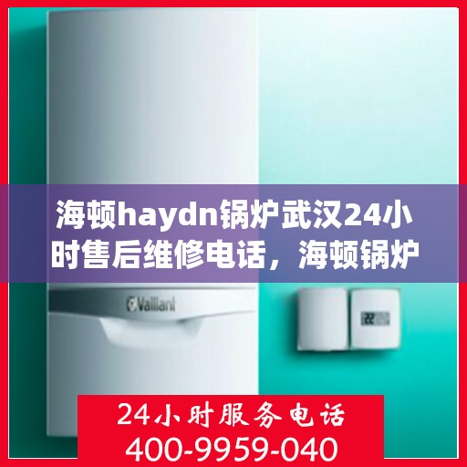 海顿haydn锅炉武汉24小时售后维修电话，海顿锅炉武汉全天候售后维修热线
