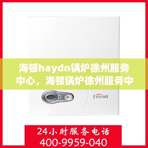 海顿haydn锅炉徐州服务中心，海顿锅炉徐州服务中心，专业维修与服务的品质之选