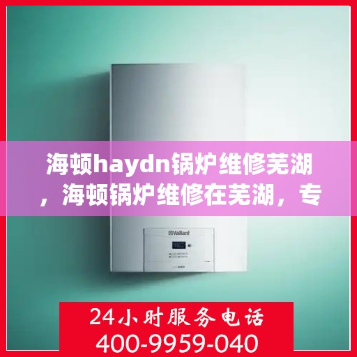 海顿haydn锅炉维修芜湖，海顿锅炉维修在芜湖，专业团队解决您的锅炉问题
