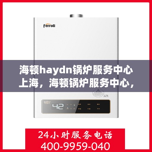 海顿haydn锅炉服务中心上海，海顿锅炉服务中心，上海专业维修与技术支持团队