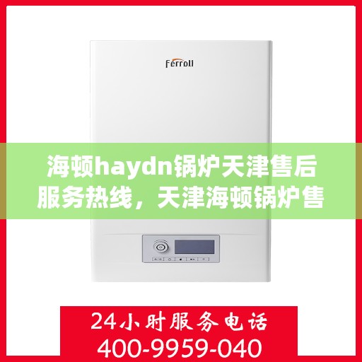 海顿haydn锅炉天津售后服务热线，天津海顿锅炉售后服务热线，专业解决您的锅炉问题