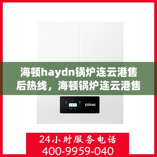 海顿haydn锅炉连云港售后热线，海顿锅炉连云港售后热线，专业维修与技术支持团队为您服务