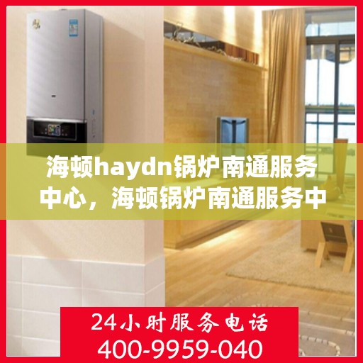 海顿haydn锅炉南通服务中心，海顿锅炉南通服务中心，专业维修与优质服务同步进行