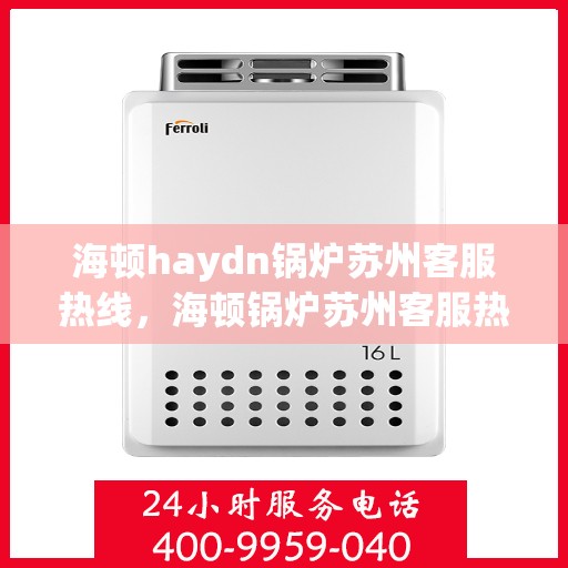 海顿haydn锅炉苏州客服热线，海顿锅炉苏州客服热线，专业支持与解决方案一站式服务