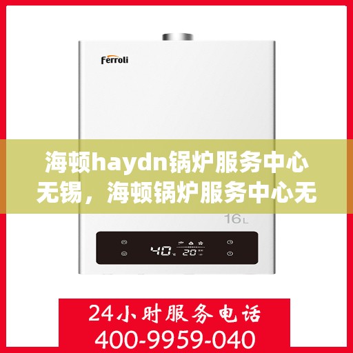 海顿haydn锅炉服务中心无锡，海顿锅炉服务中心无锡，专业维修与高效服务保障