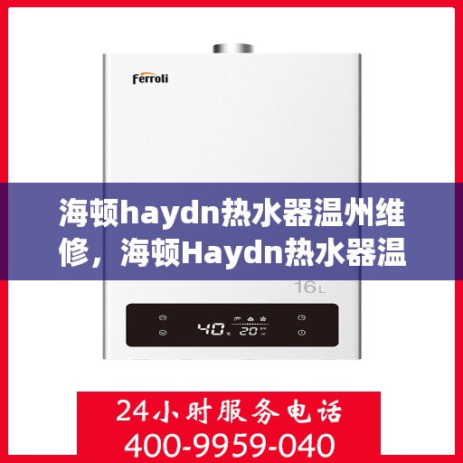 海顿haydn热水器温州维修，海顿Haydn热水器温州专业维修服务