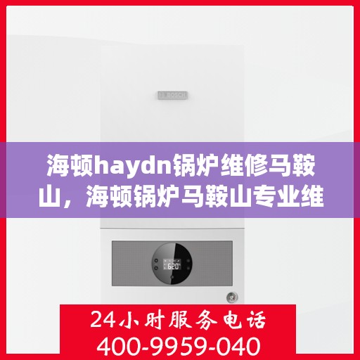 海顿haydn锅炉维修马鞍山，海顿锅炉马鞍山专业维修服务
