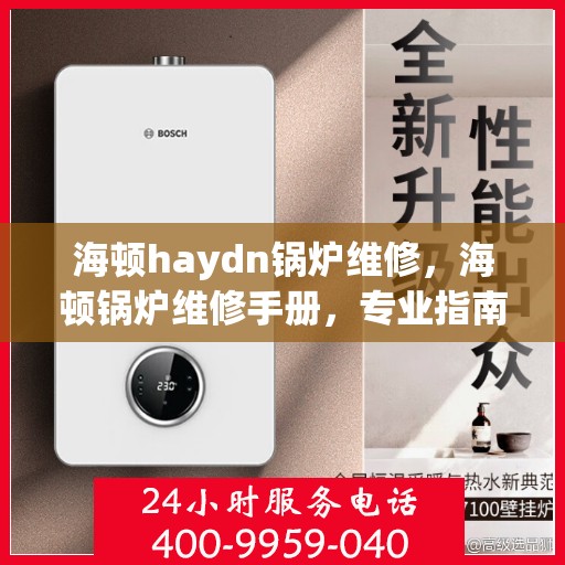 海顿haydn锅炉维修，海顿锅炉维修手册，专业指南与技巧