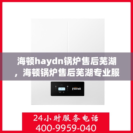 海顿haydn锅炉售后芜湖，海顿锅炉售后芜湖专业服务体验